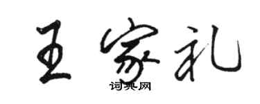 駱恆光王家禮行書個性簽名怎么寫