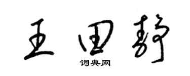梁錦英王田靜草書個性簽名怎么寫