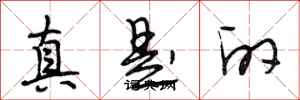 段相林真是的行書怎么寫