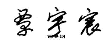 朱錫榮覃宇宸草書個性簽名怎么寫