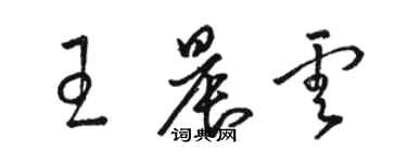 駱恆光王晨雲草書個性簽名怎么寫