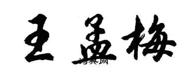 胡問遂王孟梅行書個性簽名怎么寫