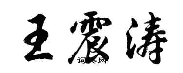 胡問遂王震濤行書個性簽名怎么寫