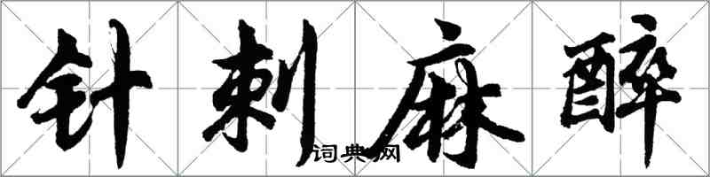 胡問遂針刺麻醉行書怎么寫