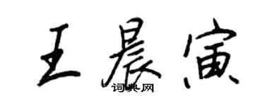 王正良王晨寅行書個性簽名怎么寫