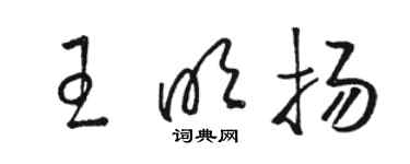 駱恆光王明揚草書個性簽名怎么寫