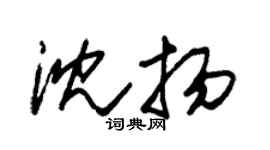 朱錫榮沈揚草書個性簽名怎么寫