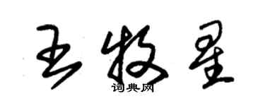 朱錫榮王牧星草書個性簽名怎么寫