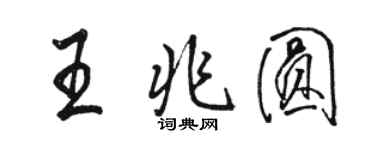 駱恆光王兆圓行書個性簽名怎么寫