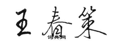 駱恆光王春策行書個性簽名怎么寫