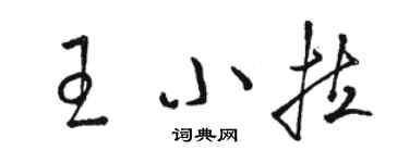 駱恆光王小拉草書個性簽名怎么寫