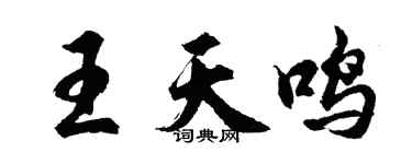 胡問遂王天鳴行書個性簽名怎么寫
