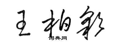 駱恆光王柏彩草書個性簽名怎么寫