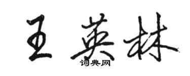 駱恆光王英林行書個性簽名怎么寫