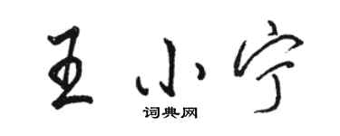 駱恆光王小寧行書個性簽名怎么寫