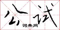 公試怎么寫好看