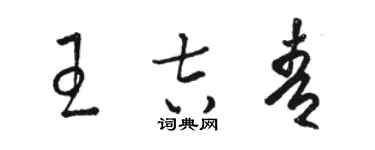 駱恆光王吉青草書個性簽名怎么寫