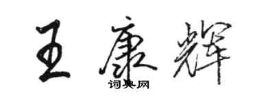 駱恆光王康輝行書個性簽名怎么寫