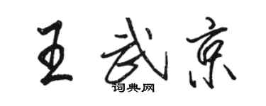 駱恆光王武京行書個性簽名怎么寫