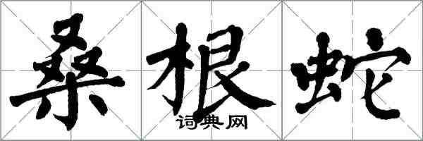 翁闓運桑根蛇楷書怎么寫