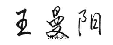 駱恆光王曼陽行書個性簽名怎么寫