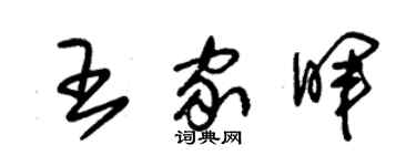 朱錫榮王家暉草書個性簽名怎么寫