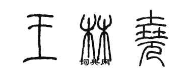 陳墨王林堯篆書個性簽名怎么寫