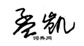 朱錫榮孟凱草書個性簽名怎么寫