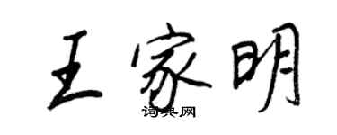 王正良王家明行書個性簽名怎么寫