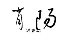 梁錦英肖陽草書個性簽名怎么寫