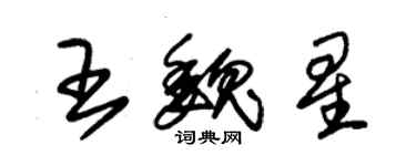 朱錫榮王魏星草書個性簽名怎么寫