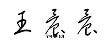 梁錦英王晨晨草書個性簽名怎么寫