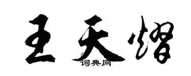 胡問遂王天熠行書個性簽名怎么寫