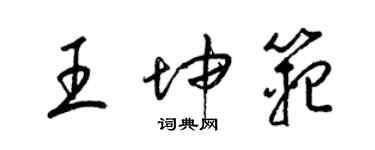 梁錦英王坤範草書個性簽名怎么寫