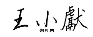 王正良王小獻行書個性簽名怎么寫