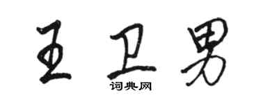 駱恆光王衛男行書個性簽名怎么寫