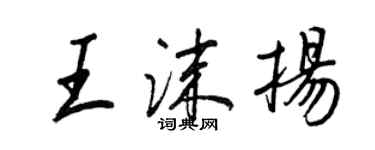 王正良王沫揚行書個性簽名怎么寫