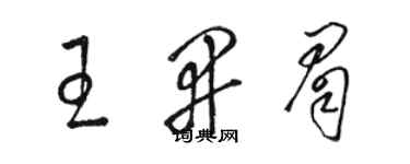 駱恆光王開眉草書個性簽名怎么寫