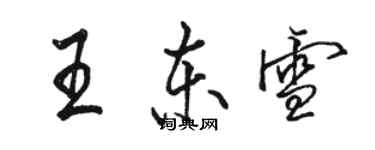 駱恆光王東雪行書個性簽名怎么寫