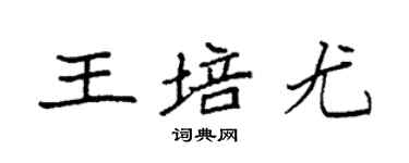 袁強王培尤楷書個性簽名怎么寫
