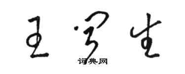 駱恆光王聞生草書個性簽名怎么寫