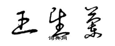 曾慶福王望蘭草書個性簽名怎么寫