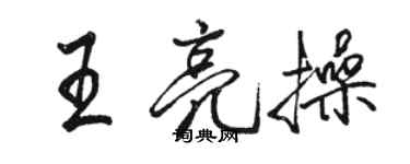 駱恆光王亮操行書個性簽名怎么寫