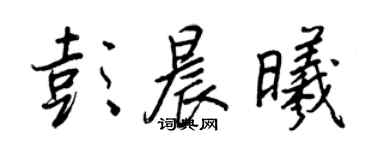 王正良彭晨曦行書個性簽名怎么寫