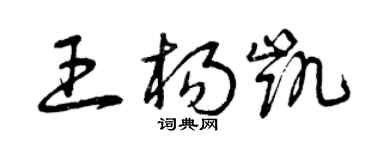 曾慶福王楊凱草書個性簽名怎么寫