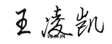 駱恆光王凌凱行書個性簽名怎么寫