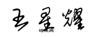 朱錫榮王星耀草書個性簽名怎么寫