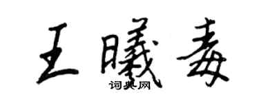 王正良王曦毒行書個性簽名怎么寫