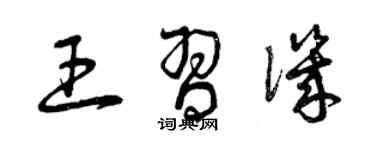 曾慶福王習譏草書個性簽名怎么寫