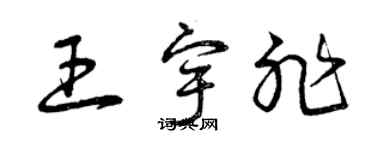 曾慶福王宇非草書個性簽名怎么寫